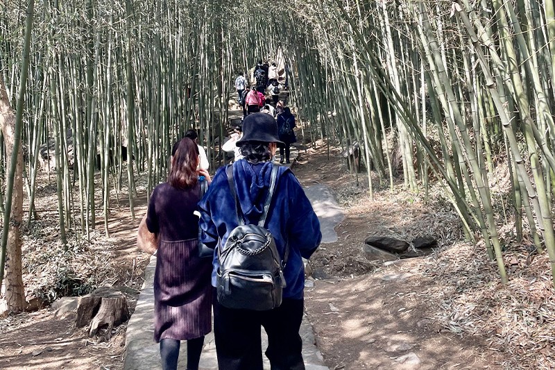 1683793154907995.jpg 微信图片_20210305105625.jpg